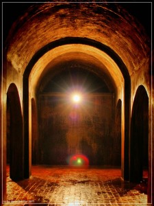 comp_IMG_0172-2